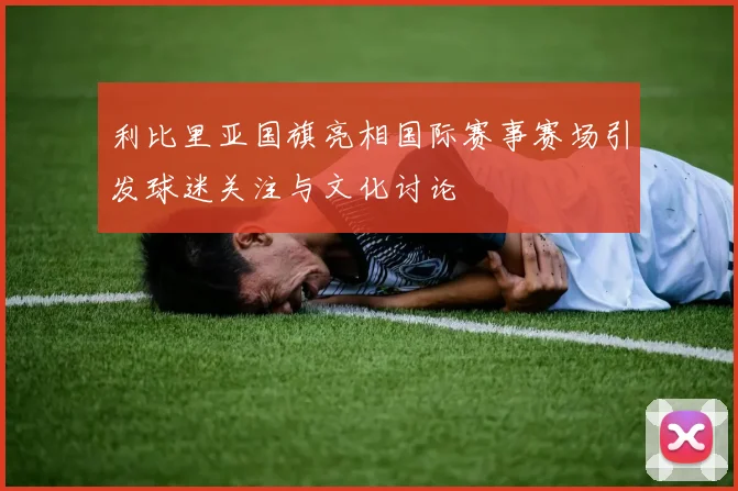 利比里亚国旗亮相国际赛事赛场引发球迷关注与文化讨论