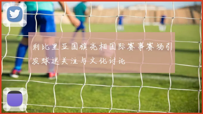 利比里亚国旗亮相国际赛事赛场引发球迷关注与文化讨论