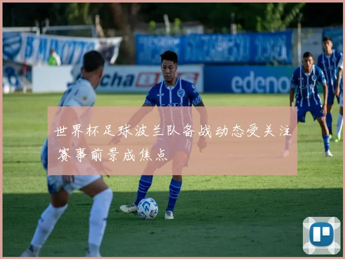 世界杯足球波兰队备战动态受关注 赛事前景成焦点