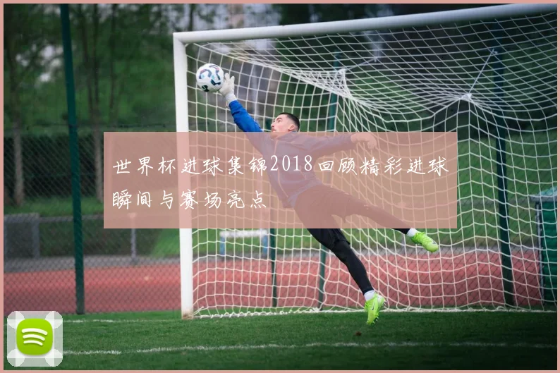 世界杯进球集锦2018回顾精彩进球瞬间与赛场亮点