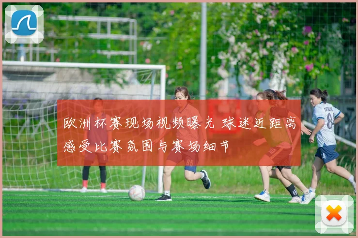 欧洲杯赛现场视频曝光 球迷近距离感受比赛氛围与赛场细节