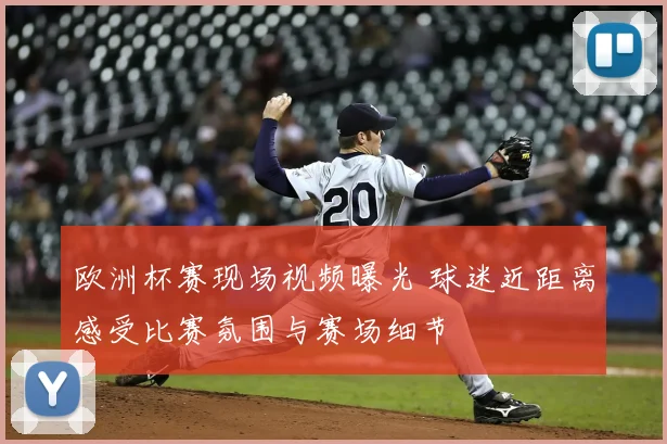 欧洲杯赛现场视频曝光 球迷近距离感受比赛氛围与赛场细节