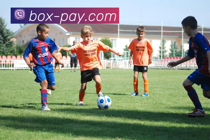 App Interface Preview