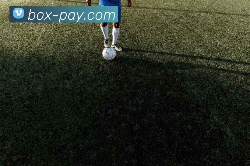 beat365官方网站入口APP 封面图